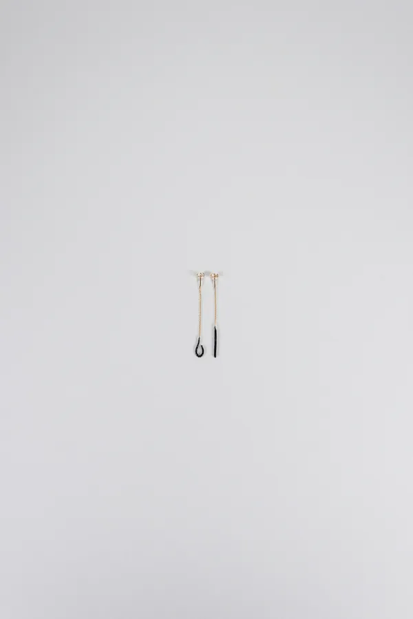 6047b + unknown Earrings