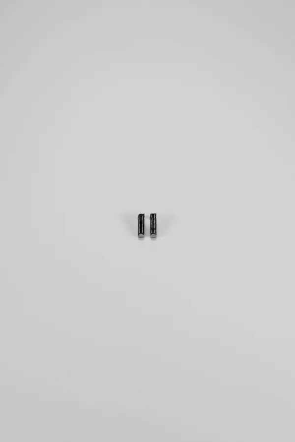 6095 Earrings